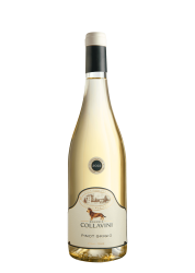 Collavini Friuli Venezia Giulia Pinot Grigio 75Cl